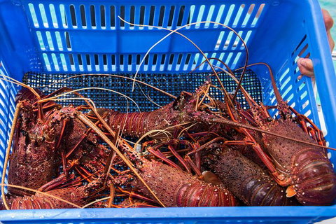 Rottnest Island 5-Course Deluxe Seafood Banquet Cruise - Australia Accommodation 3
