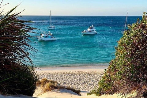 Rottnest Island 5-Course Deluxe Seafood Banquet Cruise - Australia Accommodation 16
