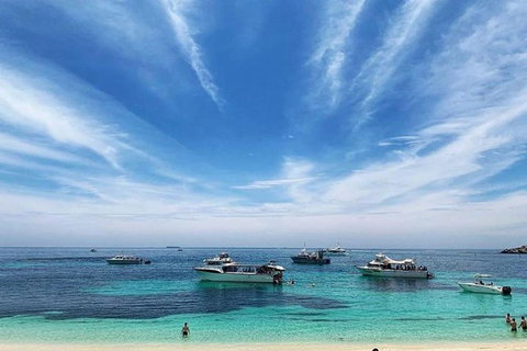Rottnest Island 5-Course Deluxe Seafood Banquet Cruise - Australia Accommodation 7
