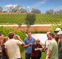 Yarra Valley Wine and Winery Tour from Melbourne - Australia Accommodation