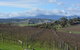 2-Day Yarra Valley Wine Tour With Luxury Vineyard Resort Stay - thumb 2