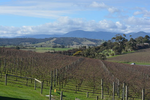 2-Day Yarra Valley Wine Tour With Luxury Vineyard Resort Stay - Australia Accommodation 2