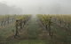 2-Day Yarra Valley Wine Tour With Luxury Vineyard Resort Stay - thumb 11