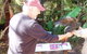 Puffing Billy Steam Train & Healesville Wildlife Sanctuary Tour From Melbourne - thumb 9