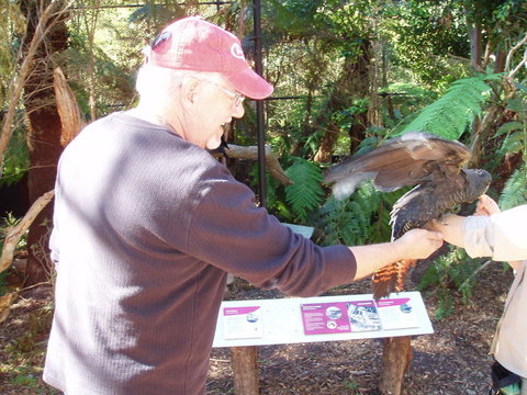 Puffing Billy Steam Train & Healesville Wildlife Sanctuary Tour From Melbourne - Australia Accommodation 9
