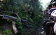 Puffing Billy Steam Train & Healesville Wildlife Sanctuary Tour From Melbourne - thumb 5