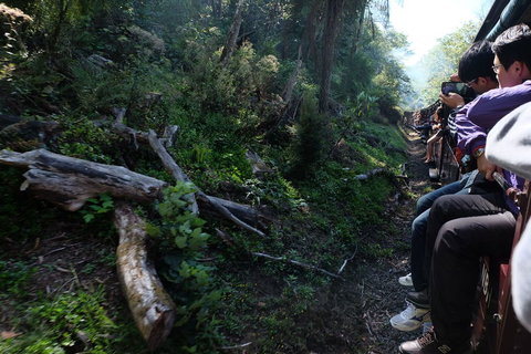 Puffing Billy Steam Train & Healesville Wildlife Sanctuary Tour From Melbourne - Australia Accommodation 5