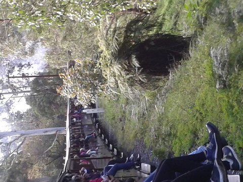 Puffing Billy Steam Train & Healesville Wildlife Sanctuary Tour From Melbourne - Australia Accommodation 7
