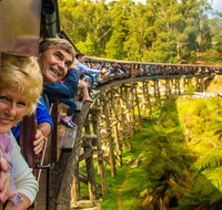 Puffing Billy Steam Train  Healesville Wildlife Sanctuary Tour From Melbourne - Australia Accommodation