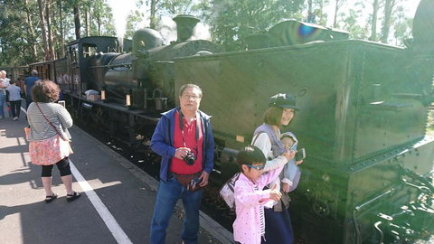 Puffing Billy Steam Train & Healesville Wildlife Sanctuary Tour From Melbourne - Australia Accommodation 4