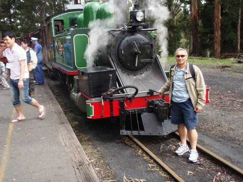 Puffing Billy Steam Train & Healesville Wildlife Sanctuary Tour From Melbourne - Australia Accommodation 12