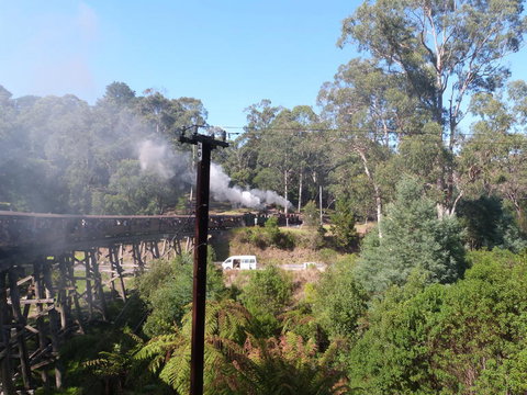 Puffing Billy Steam Train & Healesville Wildlife Sanctuary Tour From Melbourne - Australia Accommodation 8