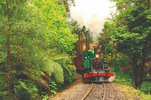 Puffing Billy Steam Train & Healesville Wildlife Sanctuary Tour From Melbourne - Australia Accommodation 19