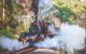 Puffing Billy Steam Train & Healesville Wildlife Sanctuary Tour From Melbourne - thumb 13