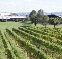 Puffing Billy Train and Yarra Valley Food and Wine Day Trip from Melbourne - Australia Accommodation