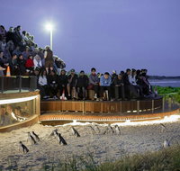 Small-Group Phillip Island Day Trip from Melbourne with Penguin Plus Viewing - Australia Accommodation