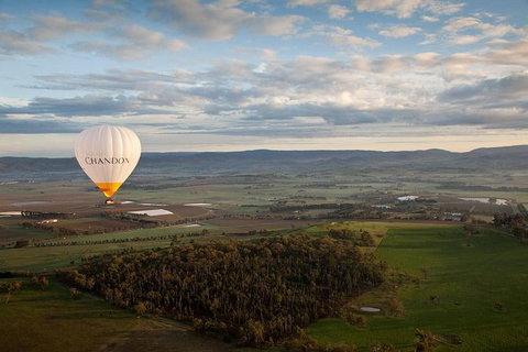Yarra Valley Balloon Flight And Winery Tour - Australia Accommodation 12