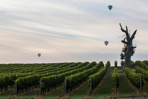 Yarra Valley Balloon Flight And Winery Tour - Australia Accommodation 19