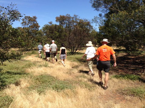Koalas And Kangaroo In The Wild Tour From Melbourne - Australia Accommodation 19