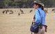 Koalas And Kangaroo In The Wild Tour From Melbourne - thumb 1
