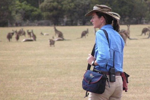 Koalas And Kangaroo In The Wild Tour From Melbourne - Australia Accommodation 30