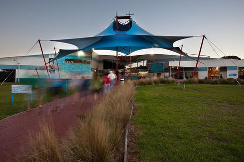 Express Expedition To Phillip Island Penguin Wildlife Encounter Evening Tour - Australia Accommodation 1