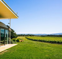 Yarra Valley Winery Tour from Melbourne with Gourmet Vineyard Lunch - Australia Accommodation