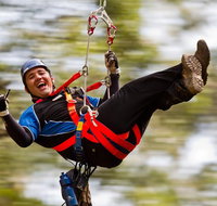 12 Apostles and Otway Fly Zipline Day Trip from Melbourne - Australia Accommodation