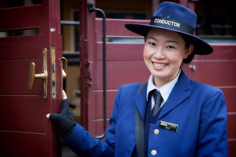 Puffing Billy, Moonlit Sanctuary & Penguins Day Tour - Australia Accommodation 1