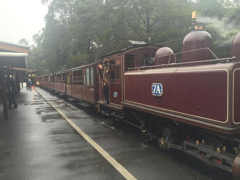 Puffing Billy, Moonlit Sanctuary & Penguins Day Tour - Australia Accommodation 2