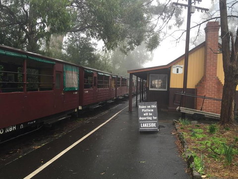 Puffing Billy, Moonlit Sanctuary & Penguins Day Tour - Australia Accommodation 3