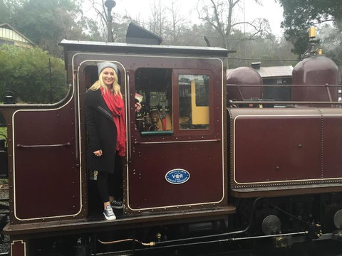 Puffing Billy, Moonlit Sanctuary & Penguins Day Tour - Australia Accommodation 5