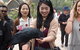 Puffing Billy, Moonlit Sanctuary & Penguins Day Tour - thumb 0