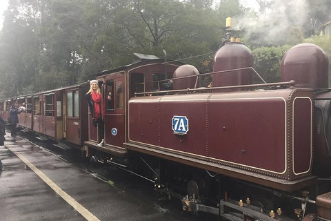 Puffing Billy, Moonlit Sanctuary & Penguins Day Tour - Australia Accommodation 13
