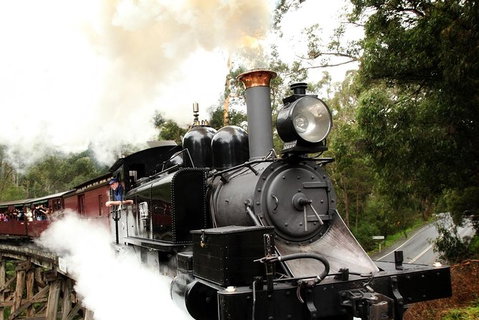 Puffing Billy, Moonlit Sanctuary & Penguins Day Tour - Australia Accommodation 9