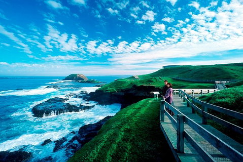 Puffing Billy, Moonlit Sanctuary & Penguins Day Tour - Australia Accommodation 11