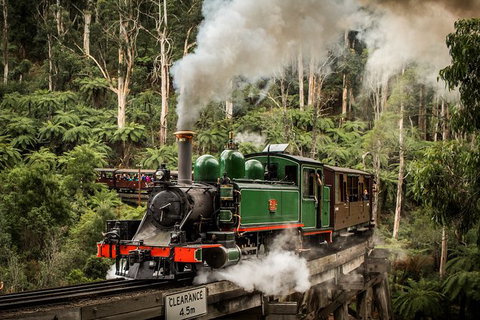 Puffing Billy, Moonlit Sanctuary & Penguins Day Tour - Australia Accommodation 6