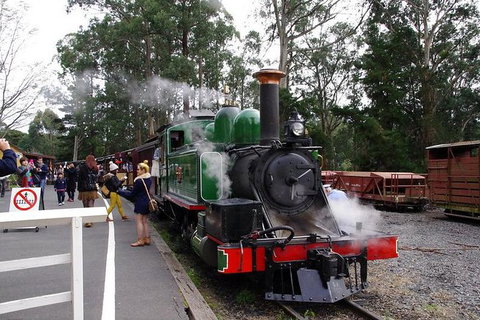 Puffing Billy Train With Optional Penguin Parade Or Melbourne City Tour - Australia Accommodation 0