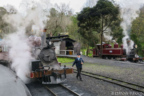Puffing Billy Train With Optional Penguin Parade Or Melbourne City Tour - Australia Accommodation 2
