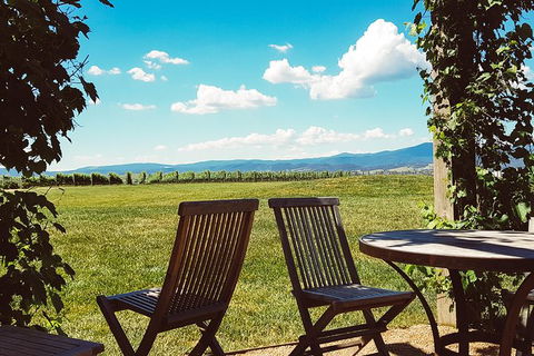Alternative Yarra Valley Wine Tasting Tour Departing From Melbourne - Australia Accommodation 11