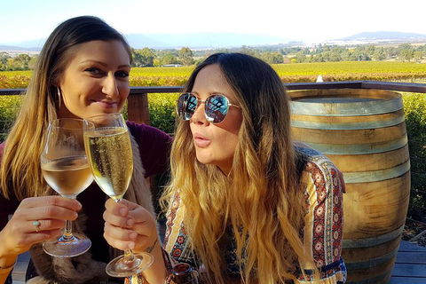 Alternative Yarra Valley Wine Tasting Tour Departing From Melbourne - Australia Accommodation 5