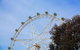 City Sightseeing Melbourne Hop-On Hop-Off Bus Tour - thumb 8