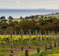 Bellarine Peninsula Small Group Wine Tour with 2 Course Lunch and Morning Tea - Australia Accommodation