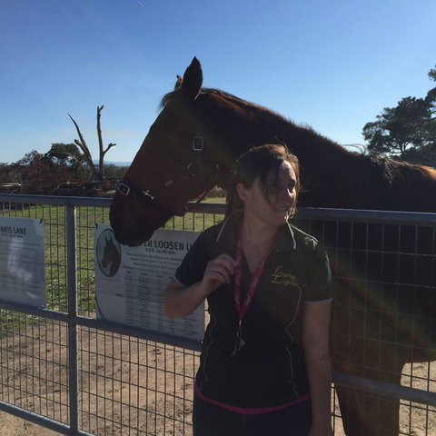 Champion Racehorse Tour With Beer And Wine Tasting - Australia Accommodation 4