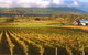 Champion Racehorse Tour With Beer And Wine Tasting - thumb 6