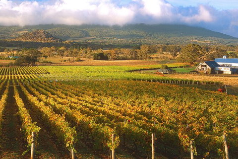 Champion Racehorse Tour With Beer And Wine Tasting - Australia Accommodation 6