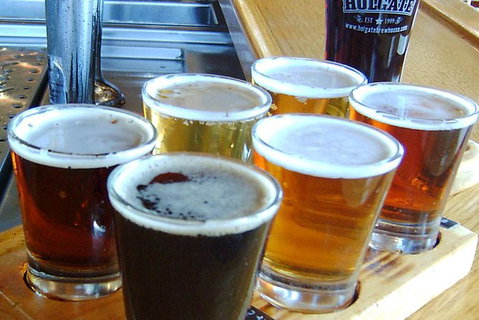 Champion Racehorse Tour With Beer And Wine Tasting - Australia Accommodation 11