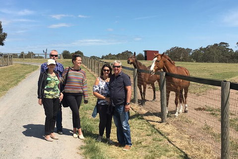 Champion Racehorse Tour With Beer And Wine Tasting - Australia Accommodation 10