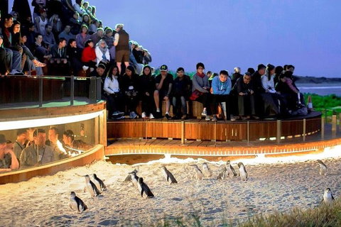 Small-Group Phillip Island Day Trip From Melbourne - Australia Accommodation 0
