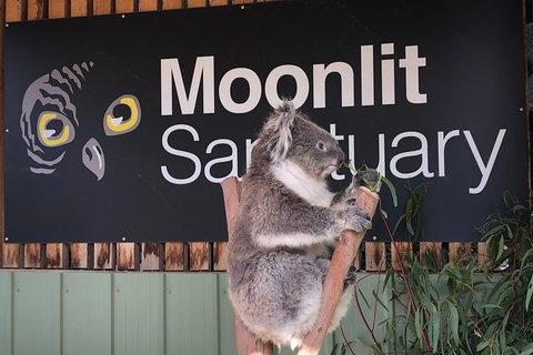 Small-Group Phillip Island Day Trip From Melbourne - Australia Accommodation 7